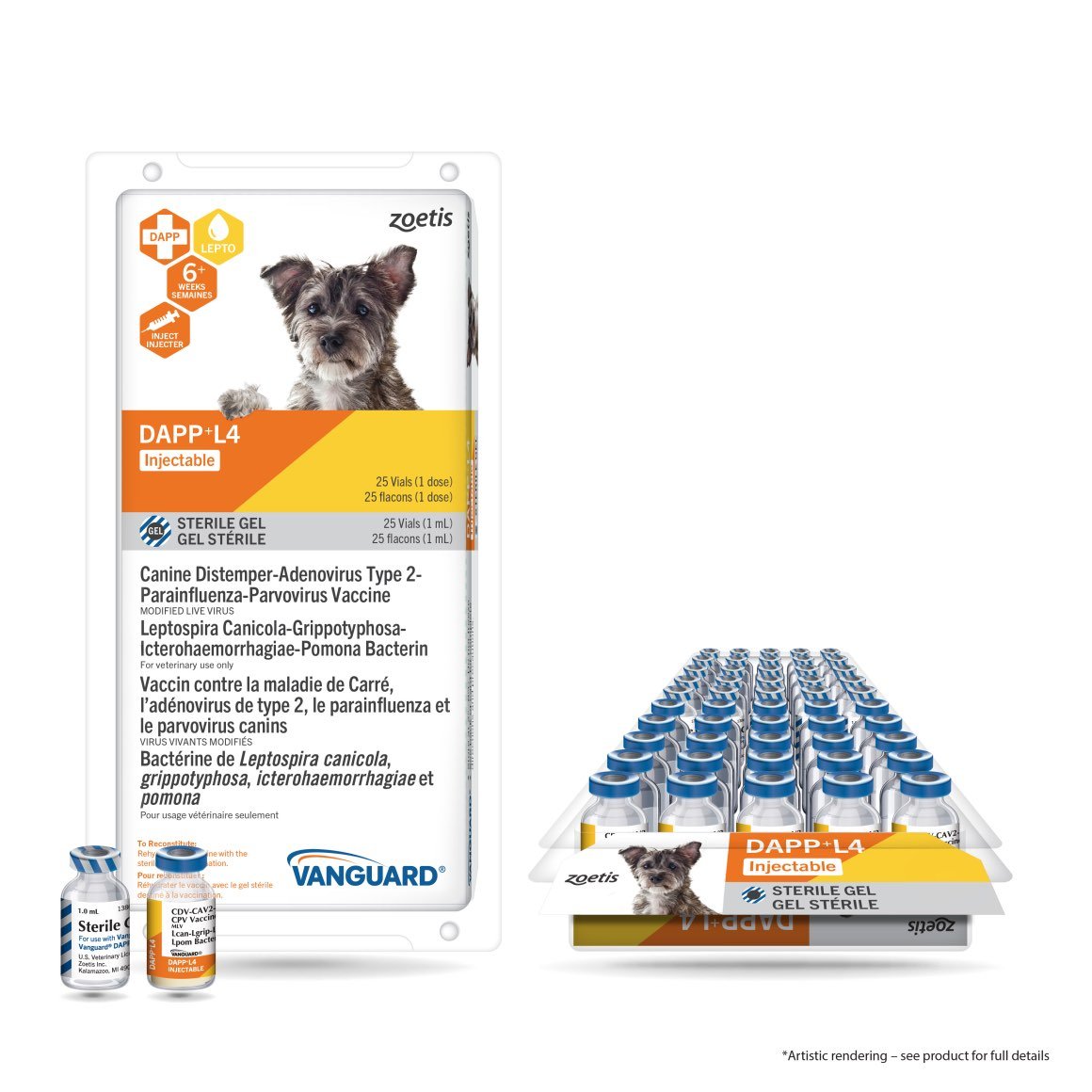 Vanguard DAPP + L4 injectable