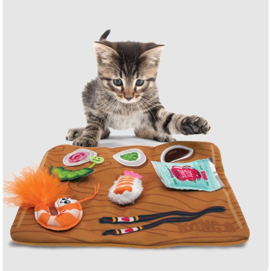 Pull-A-Partz toy for cats