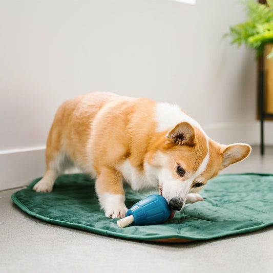 OBEE Stuff toy for dogs