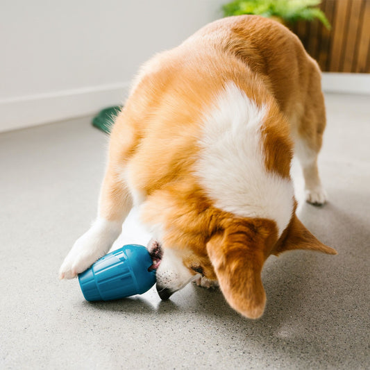 OBEE Stuff toy for dogs