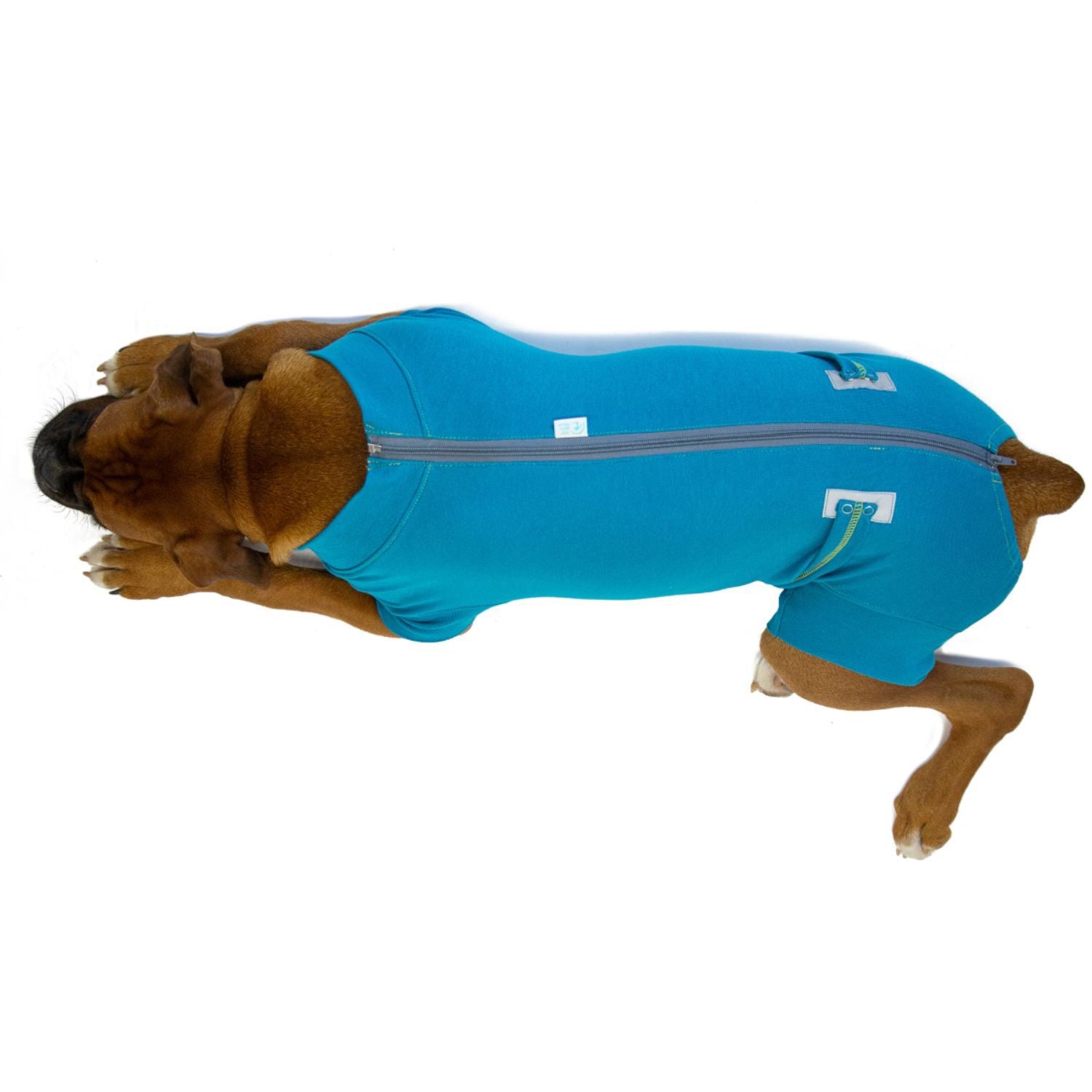 Recovery suit for males