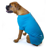 Recovery suit for males