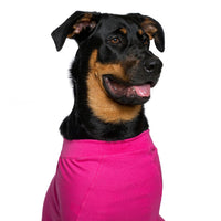Recovery suit for females