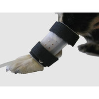 IV catheter guard