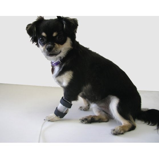 IV catheter guard