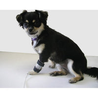 IV catheter guard