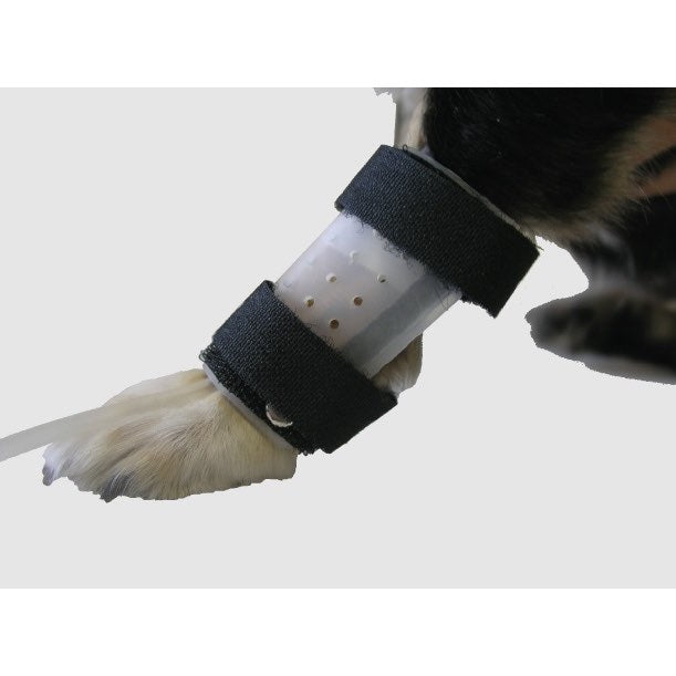 IV catheter guard
