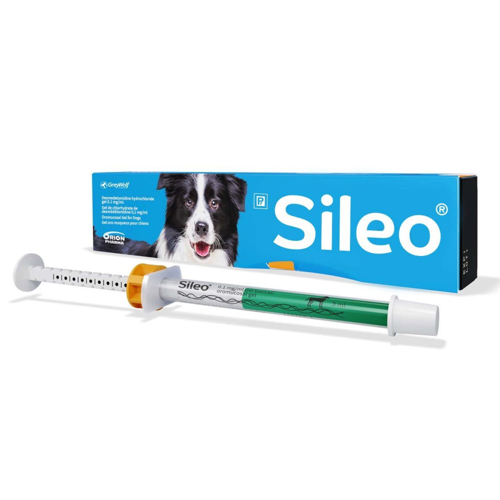 Sileo oromucosal gel for dogs