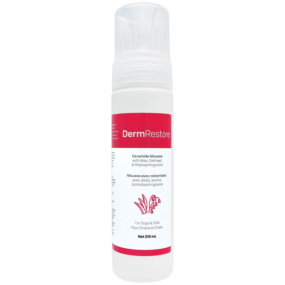 Mousse DermRestore for cats and dogs