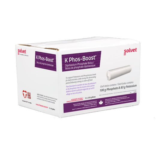K Phos-Boost bolus