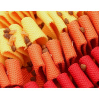 Snuffle Mat PawzNDogz Level 2