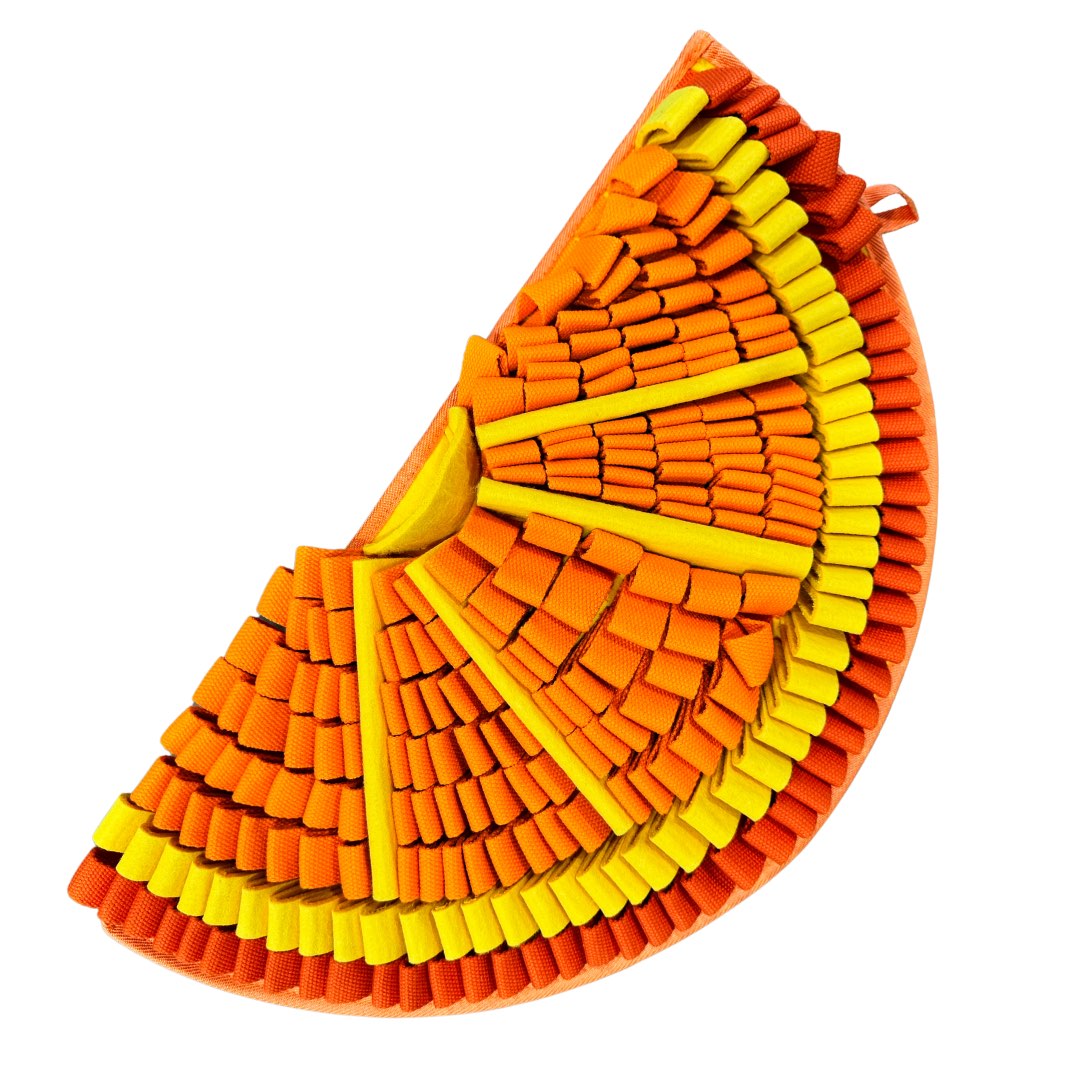 Snuffle Mat PawzNDogz Level 2