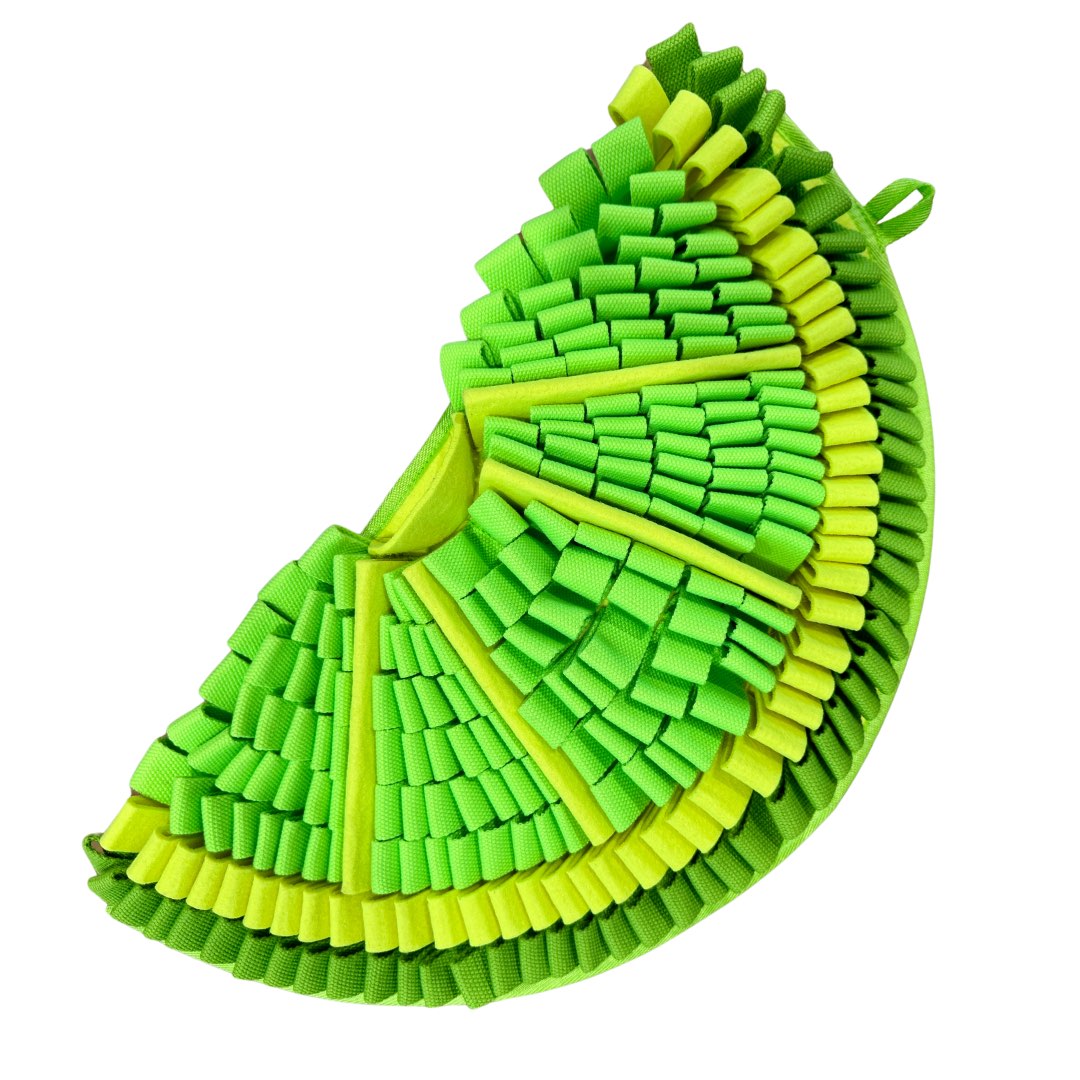 Snuffle Mat PawzNDogz Level 2