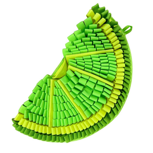 Snuffle Mat PawzNDogz Level 2