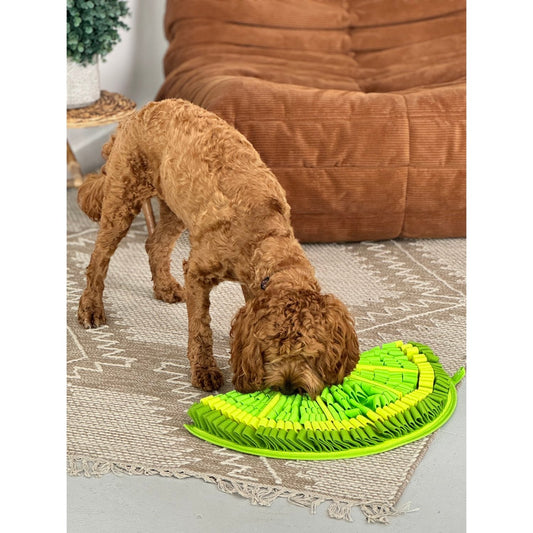 Snuffle Mat PawzNDogz Level 2