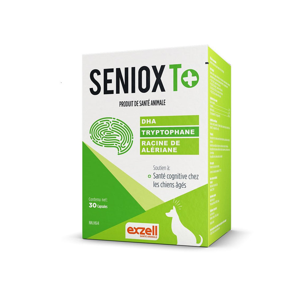 Seniox T+ supplement for dogs