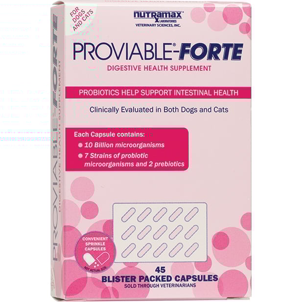 Proviable Forte capsules for cats and all-size dogs