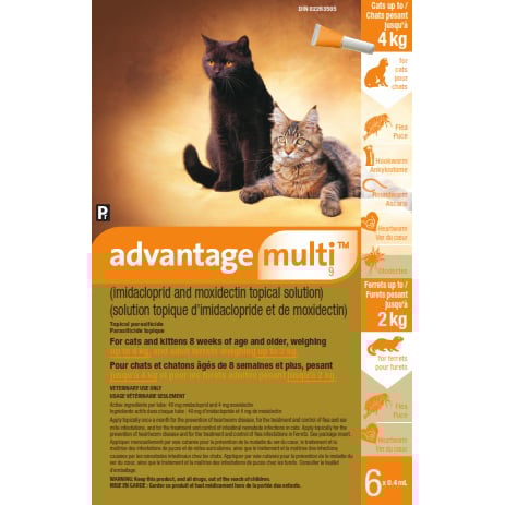 Advantage Multi for cats and ferrets