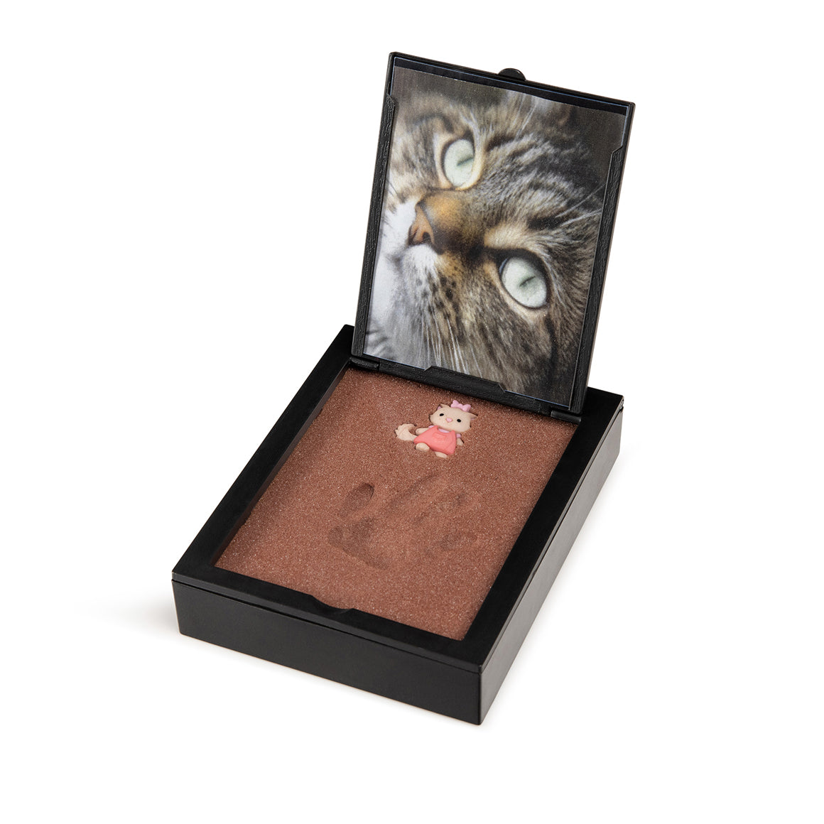 Paw print Paw Pal kit