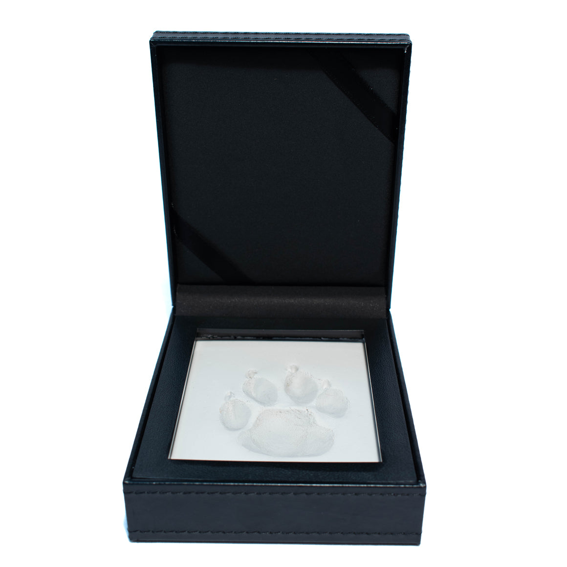 Paw print with clay in leather kit