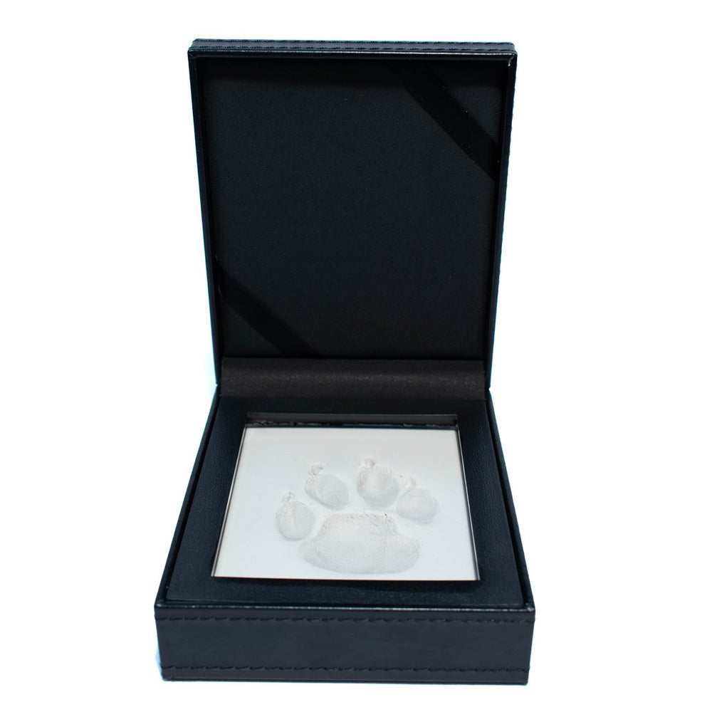 Paw print with clay in leather kit