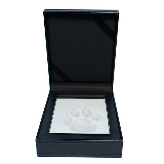 Paw print with clay in leather kit