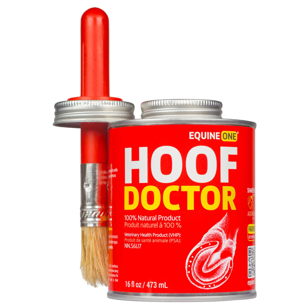 Hoof Doctor