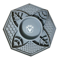 Bowl interactive moringa 3-in-1
