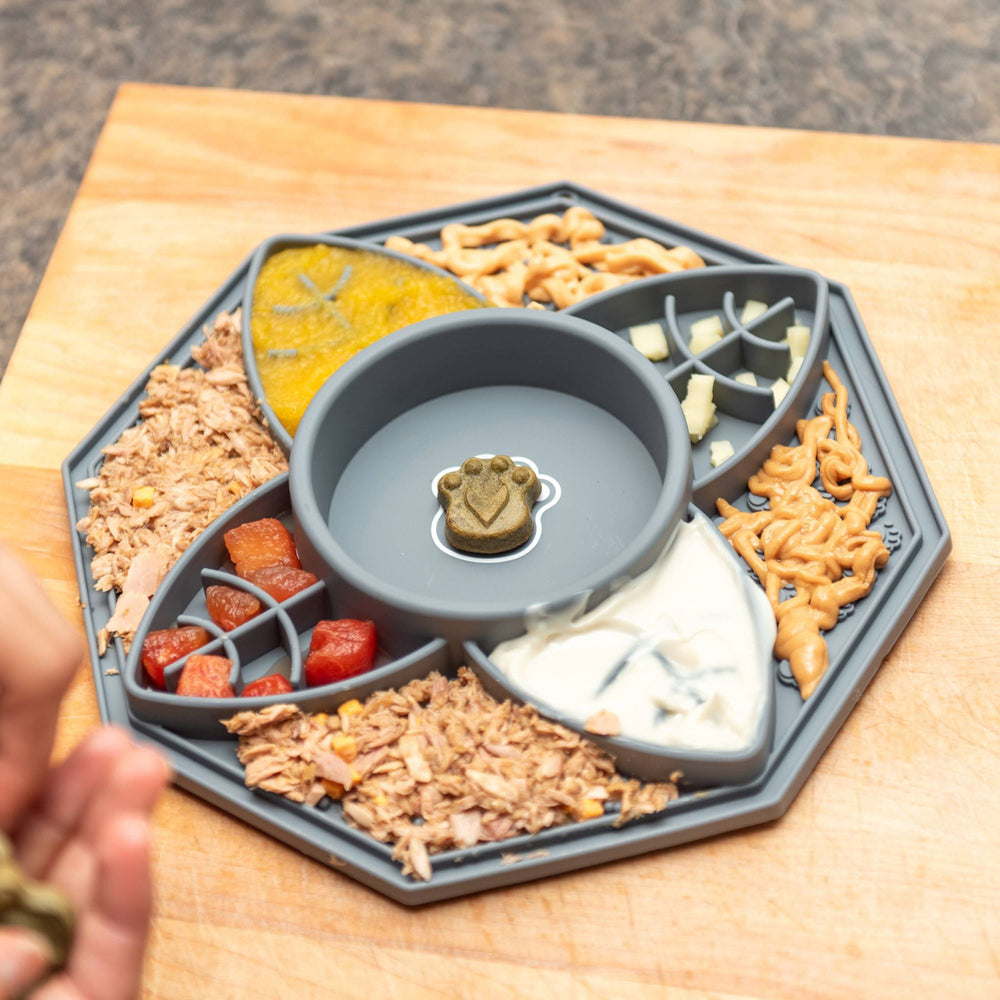 Bowl interactive moringa 3-in-1