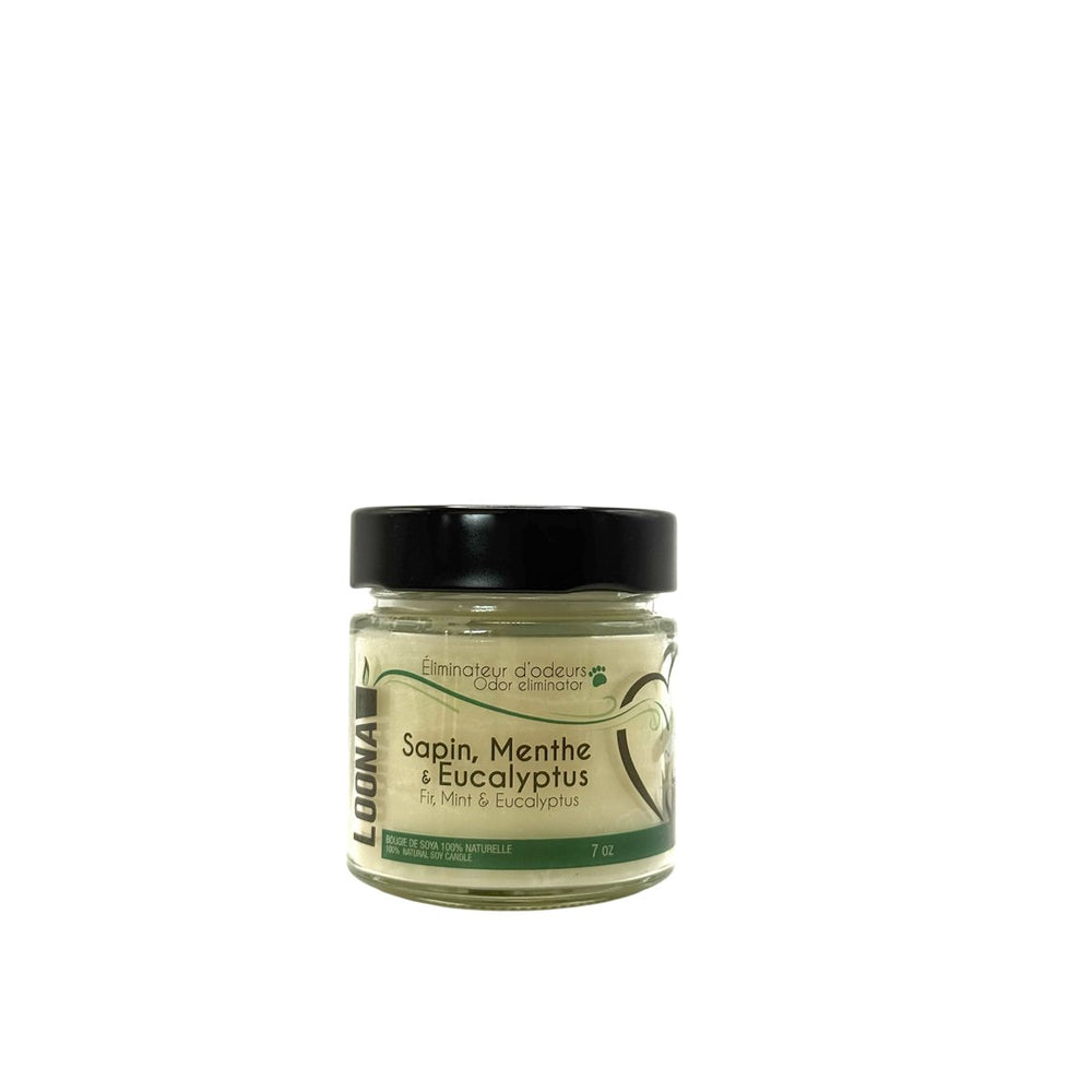 Candle LOONA with odour eliminator - fir, mint and eucalyptus