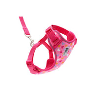 Harness Adventure for cats