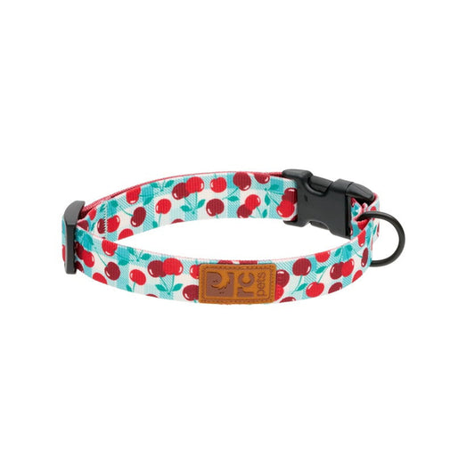 Patterned eco clip collar for dogs