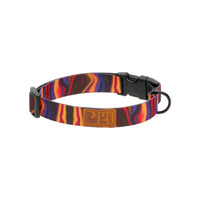 Patterned eco clip collar for dogs