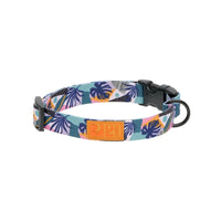 Patterned eco clip collar for dogs