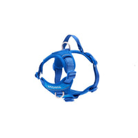 Harness Momentum for dogs