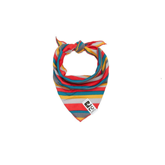 Zephyr cooling bandana