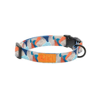 Patterned eco clip collar for dogs