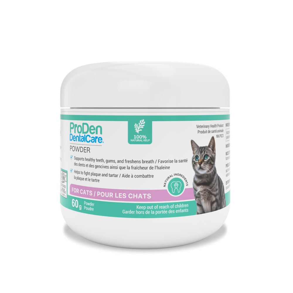 ProDen DentalCare powder for cats