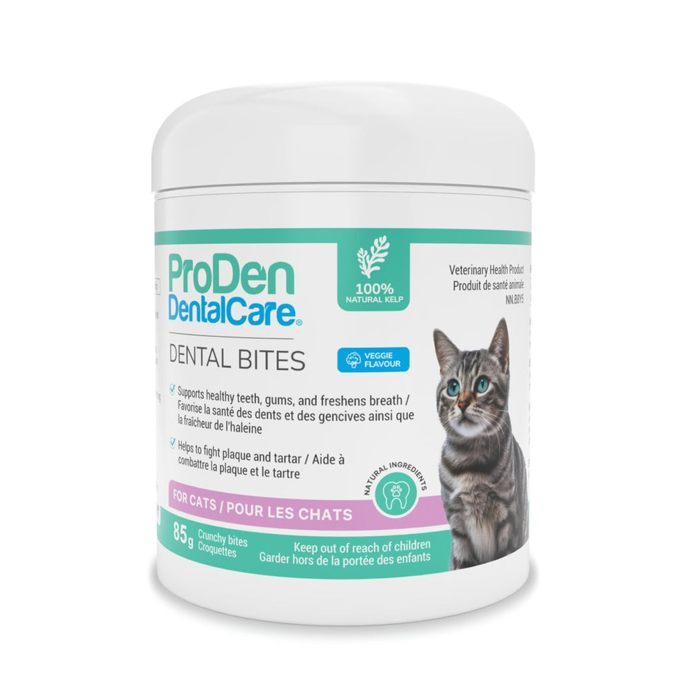 ProDen DentalCare dental bites for cats