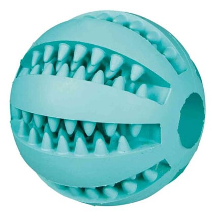 Toy ball Denta Fun for dogs