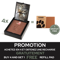 Paw print Paw Pal kit