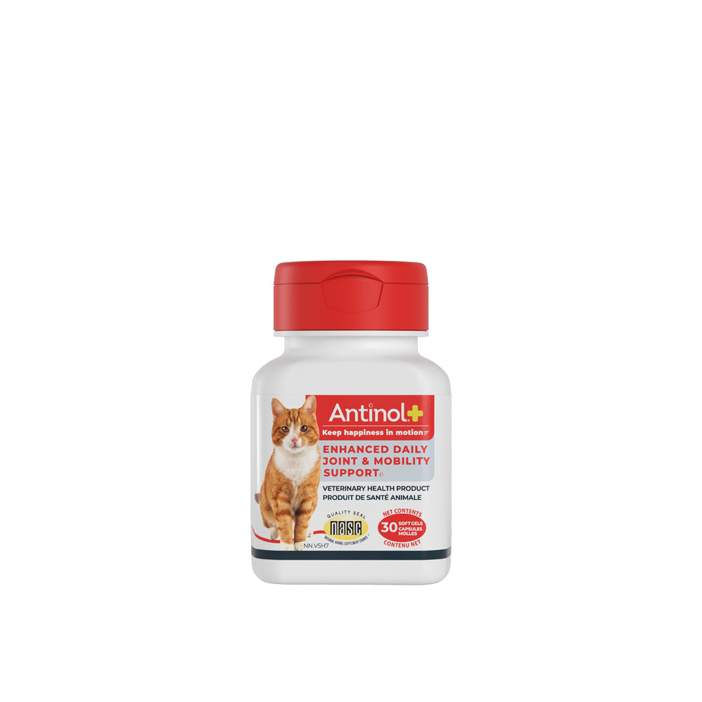 Antinol Plus softgels for cats