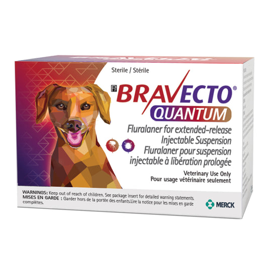 Bravecto Quantum injection (to reconstitute) for dogs