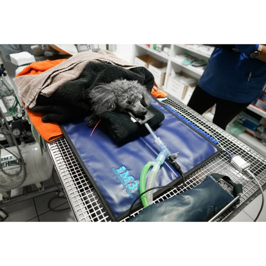 Dental x-ray mat