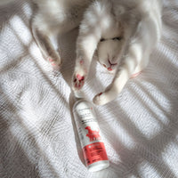 Shampoo no-rinse for cats and dogs