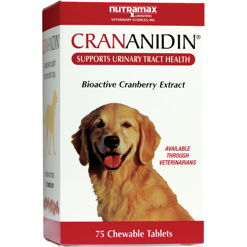 Crananidin chewable tablet for dogs