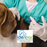 Microchip Identrac ISO with disposable implanter