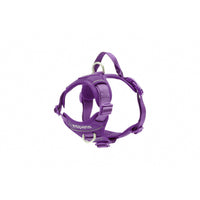 Harness Momentum Control for dogs