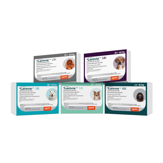 Lenivia injection for dogs