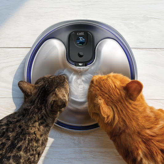 Drinking fountain cordless PIXI in stainless steel